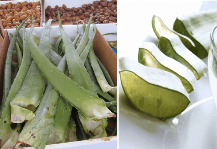 Aloe vera, called "nha dam" in Vietnamese, is readily available at the markets but it's impractical to carry the leaf around during your travels. 