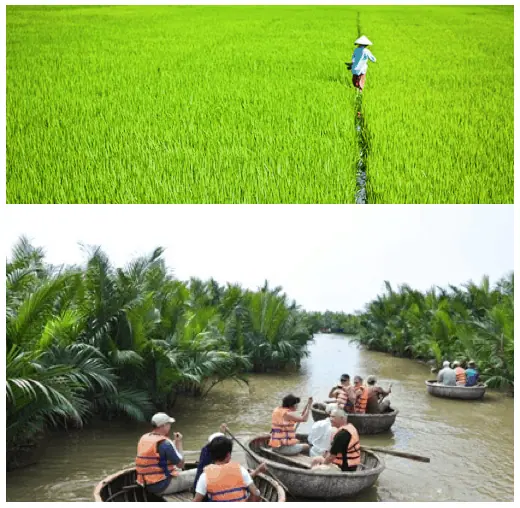 hoi an countryside