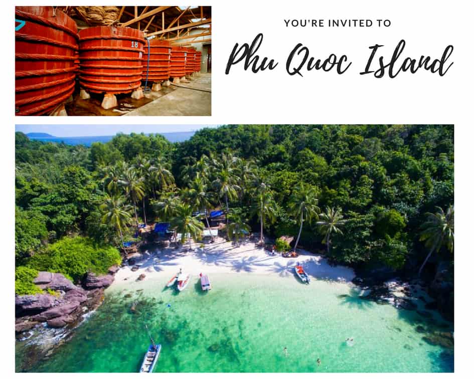See-through water in Phu Quoc and Barrels of Fish Sauce that's in the making