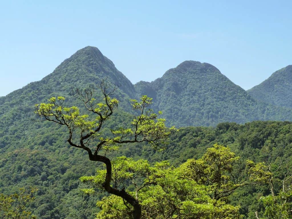 Tam Dao National Park, Hanoi day trips, Vietnam