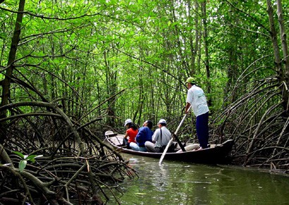 can gio mangrove forest canoe ride