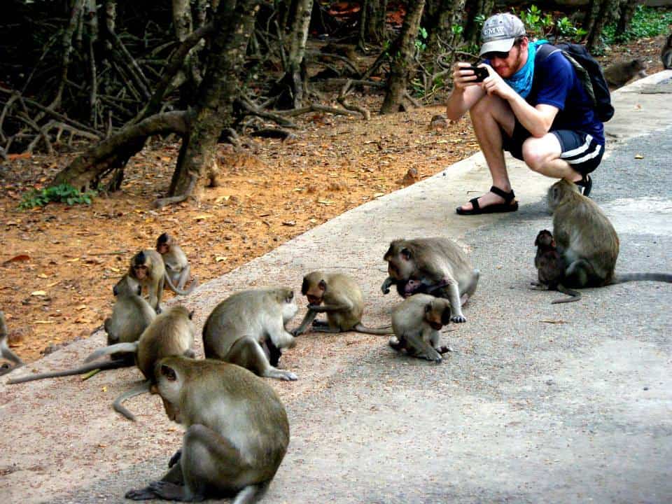 Tourist taking photo of monkeys Can Gio - Ho Chi Minh City day trip