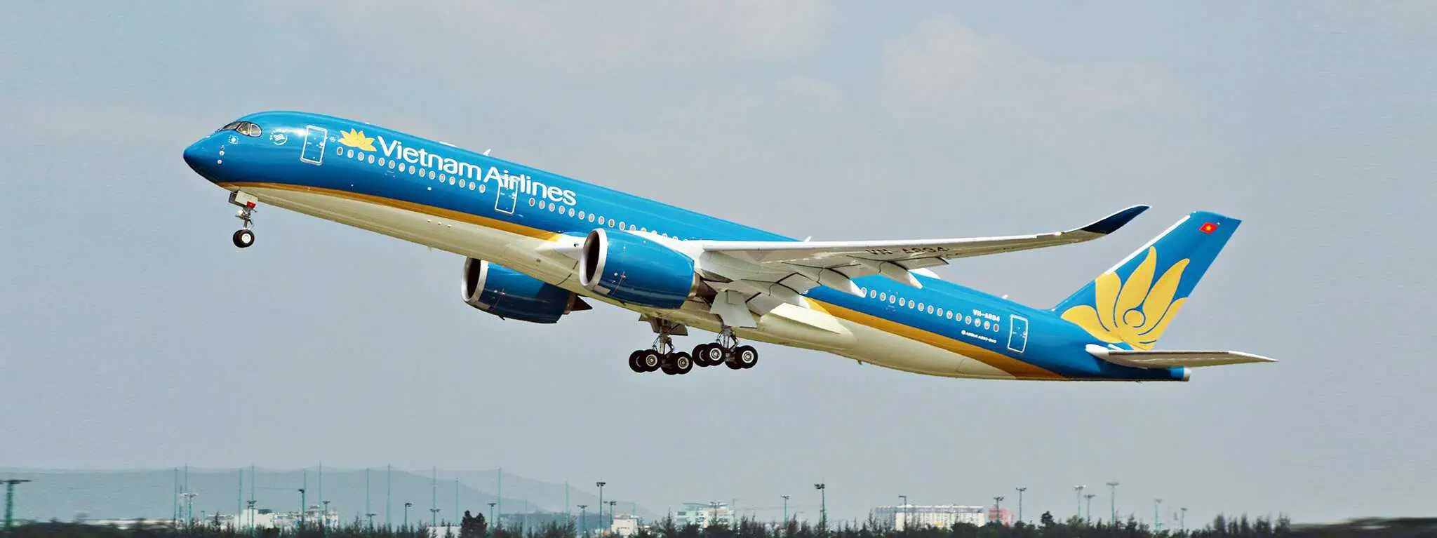 Vietnam Airlines plane