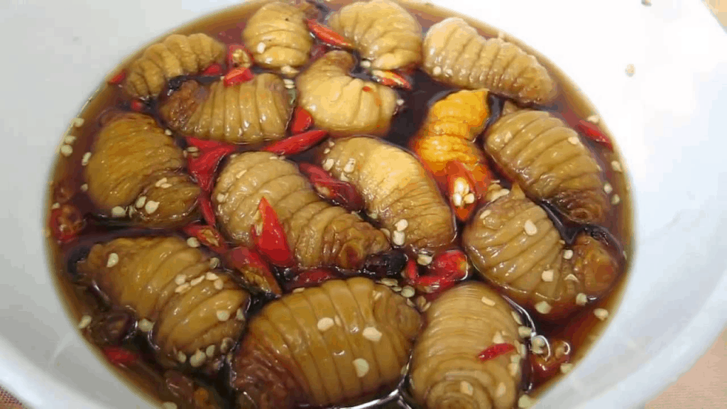 Vietnamese coconut worms