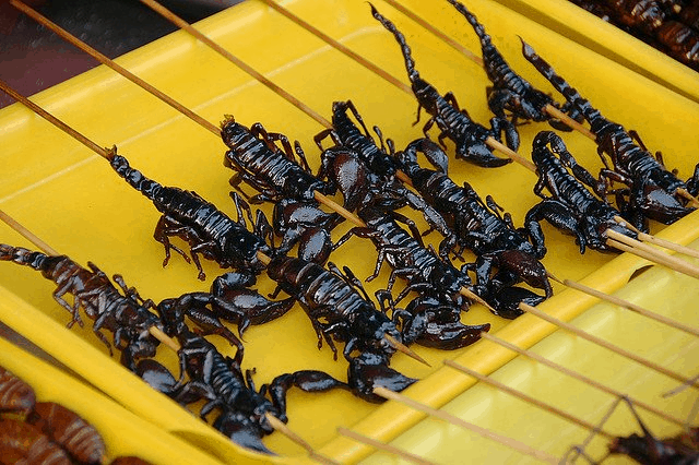 Grilled scorpions Vietnam